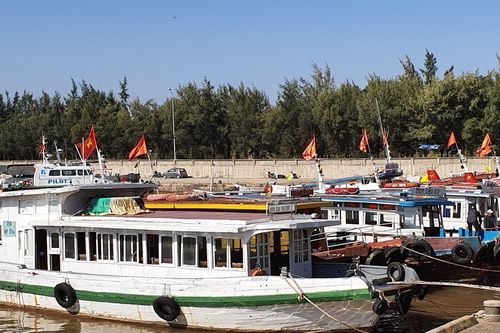 'Cứu' vận tải khách hàng hải từ bờ ra đảo