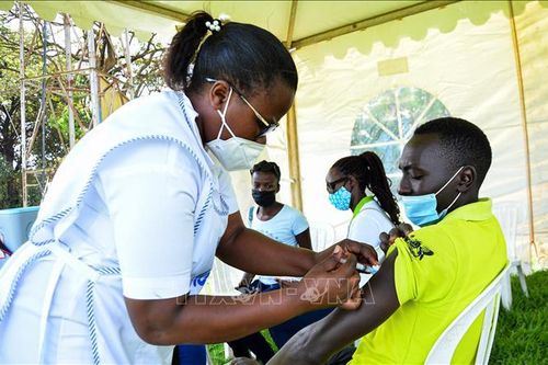 Tuyên bố chung kêu gọi sự đoàn kết toàn cầu vì công bằng vaccine ngừa COVID-19
