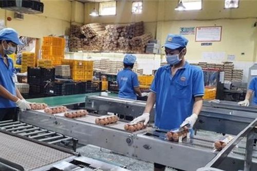 Năm 2021 có thể tăng trưởng âm nếu chậm mở cửa