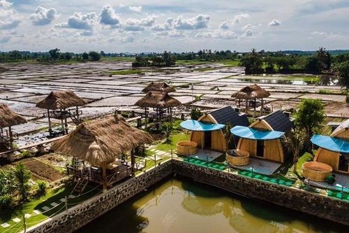 Đưa 3 điểm du lịch nông nghiệp - sinh thái vào hoạt động
