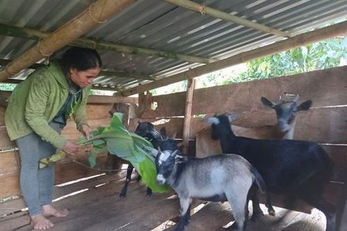 'Cầm tay chỉ việc' giúp phụ nữ vùng khó thoát nghèo