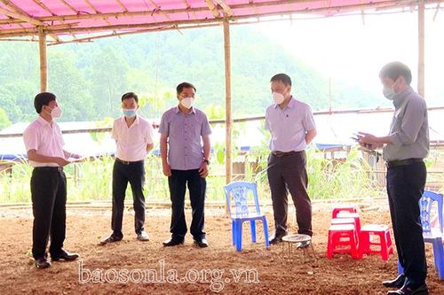 Khảo sát lắp đặt sơ đồ khu đón công dân trở về từ 'vùng đỏ'