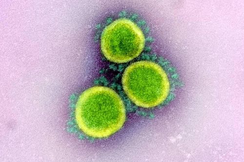 Chuyên gia Trung Quốc cảnh báo về đột biến mới của virus corona