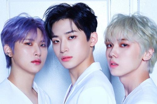 Người phụ nữ bị bắt giữ vì tiếp cận nhóm nhạc nam Kpop