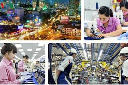Tận dụng cơ hội cho phục hồi và tăng trưởng