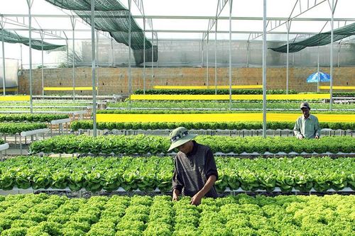 Hoàn thiện chính sách, pháp luật về đất đai