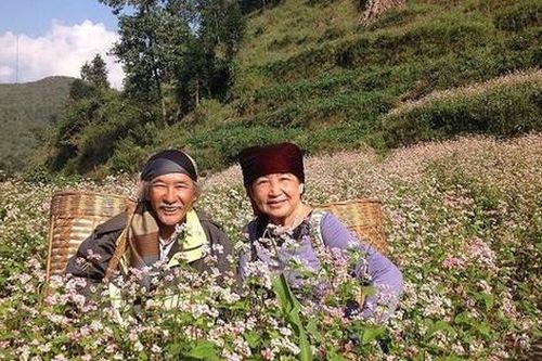 'Phượt' quên tuổi tác