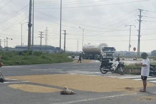 Cảnh báo nguy hiểm 'rình rập' trên đường mùa gặt lúa