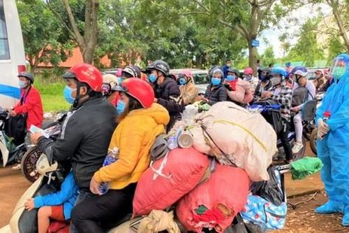 Hàng nghìn người xuyên đêm hồi hương, rưng rưng về đến quê nhà