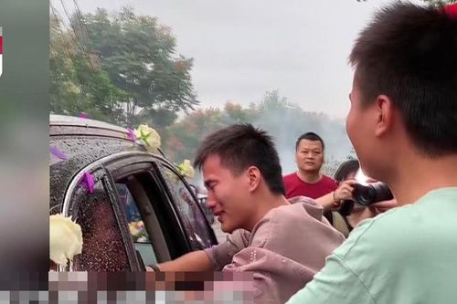 Chị gái lên xe hoa, hai em trai đuổi theo khóc nức nở