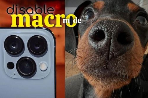 iPhone 13 Pro không thể tắt chế độ chụp ảnh macro, đây là giải pháp