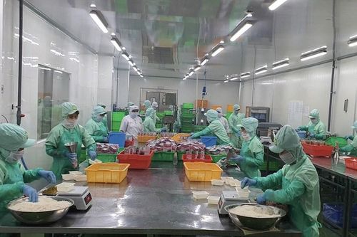 TP Hồ Chí Minh: Hơn 5.000 doanh nghiệp đăng ký hoạt động trở lại
