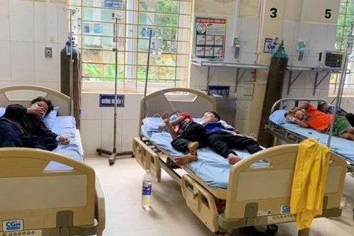 Lào Cai: Một bé 9 tuổi tử vong, 16 bé cấp cứu do ăn quả hồng châu