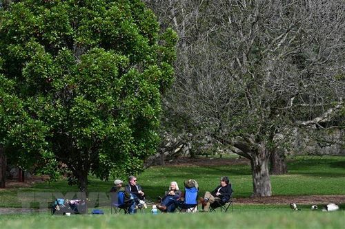 Dịch bệnh ở Australia có tín hiệu giảm, New Zealand gia hạn phong tỏa