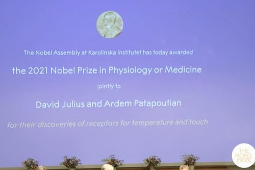 Hai nhà khoa học được vinh danh với giải Nobel Y Sinh 2021