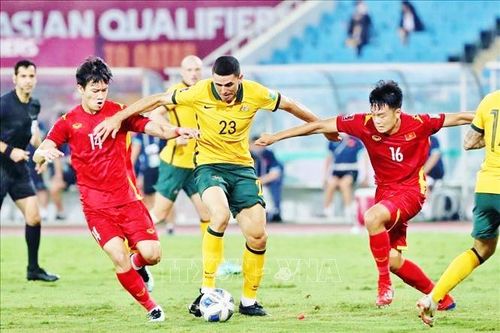 'Coi được'!