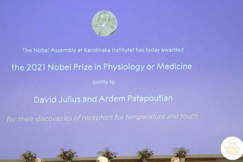 Hai nhà khoa học được vinh danh với giải Nobel Y Sinh 2021