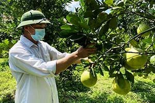 Vốn tín dụng chính sách ở Cao Lộc: Tiếp sức người dân vùng khóTin khácVững vàng trên trận tuyến chống 'giặc lửa'Thông tin về đầu mối liên lạc, ứng trực 24/24 giờ hỗ trợ công dân nước ngoài của Sở Ngoại vụ tỉnh Lạng Sơn