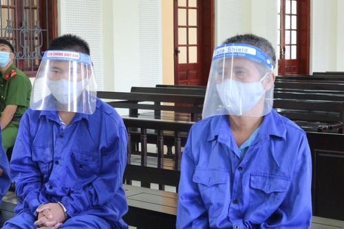 Hai cha con 'dắt nhau' ra tòa vì ma túy