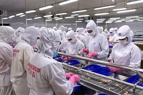 Hậu Giang khôi phục nhịp sống và phát triển kinh tế