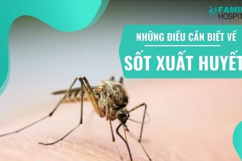 Cả nước có 50.473 trường hợp mắc sốt xuất huyết, dịch đang gia tăng