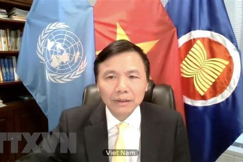 Việt Nam sẽ nỗ lực hoàn thành sứ mệnh cộng đồng quốc tế giao phó