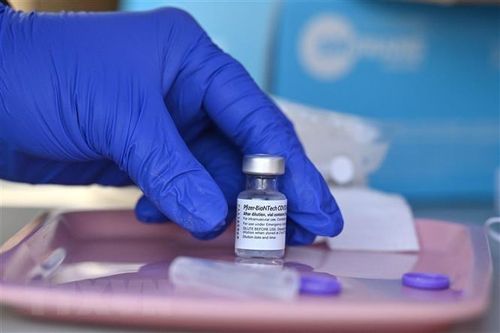 EMA 'bật đèn xanh' cho mũi tăng cường của hãng Moderna và Pfizer