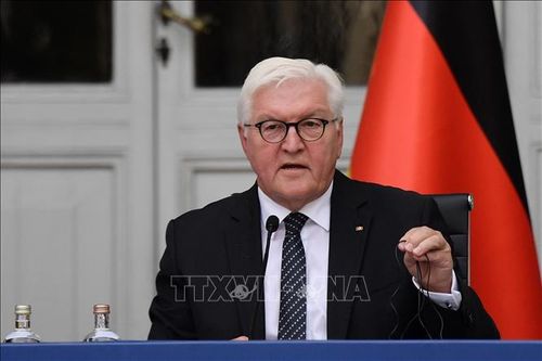 Đa số người dân Đức ủng hộ Tổng thống Steinmeier tái nhiệm