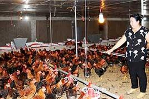 Thành công từ mô hình liên kết chăn nuôi gàTin khácVững vàng trên trận tuyến chống 'giặc lửa'Thông tin về đầu mối liên lạc, ứng trực 24/24 giờ hỗ trợ công dân nước ngoài của Sở Ngoại vụ tỉnh Lạng Sơn