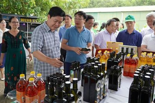 Cam Lộ: 9 sản phẩm đủ điều kiện xếp hạng sản phẩm OCOP