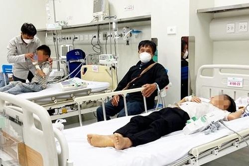 Ăn quả hồng trâu, 1 học sinh tử vong, 8 em ngộ độc nặng