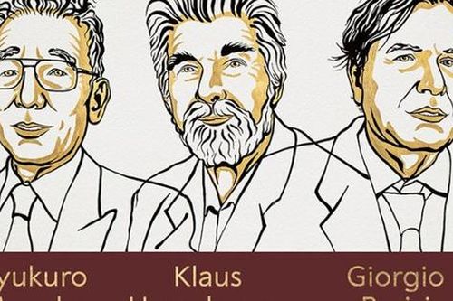 Nobel Vật lý 2021: Những đóng góp đột phá vào sự hiểu biết của loài người về các hệ thống vật lý phức tạp