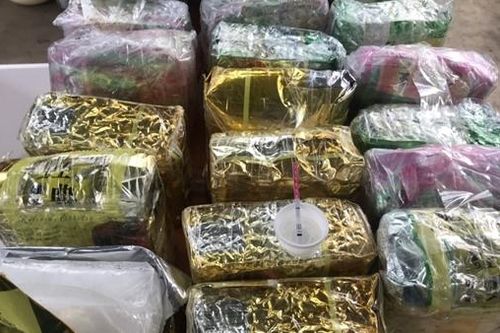 Triệt phá đường dây mua bán, vận chuyển ma túy lớn bằng xe 'luồng xanh'