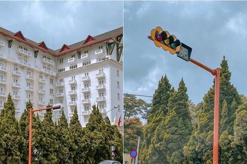Đà Lạt lắp trụ báo tín hiệu giao thông đầu tiên, Gen Z thả tim vì 'đến cây đèn cũng thơ'