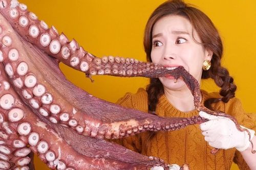 'Mukbang', 'hallyu' được đưa vào từ điển Oxford