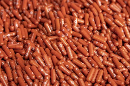 Bộ Y tế đưa Molnupiravir vào phác đồ điều trị Covid-19