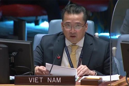 Việt Nam đề cao thực thi Công ước Cấm vũ khí hóa học