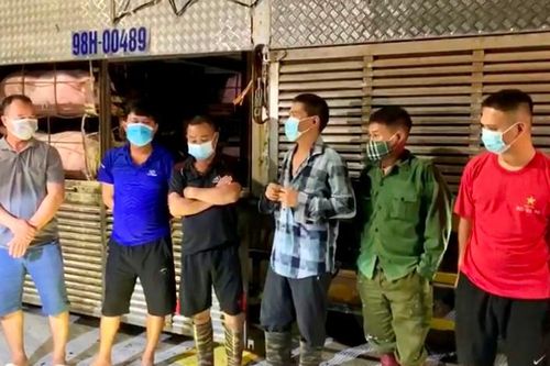 Phát hiện 4 người trốn trong xe chở lợn để 'thông chốt' kiểm dịch