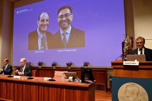 Phát hiện giúp những người đoạt giải Nobel y sinh học giá trị thế nào?