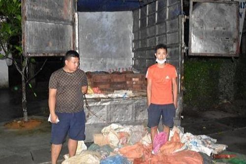 Phát hiện xe chở thuê gỗ nghiến không có giấy tờ