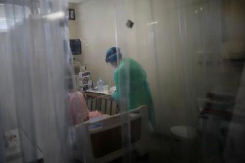 Nhật Bản phát hiện virus mới có thể lây nhiễm sang người
