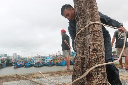 Chủ động ứng phó mưa bão, Đà Nẵng, Huế cấm tàu thuyền ra khơi