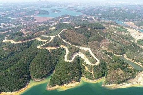 Dự án Đại Ninh phá nát 257ha rừng
