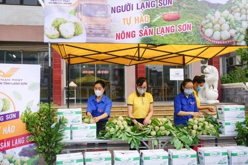 Nông sản Việt tăng doanh thu qua sàn thương mại điện tử