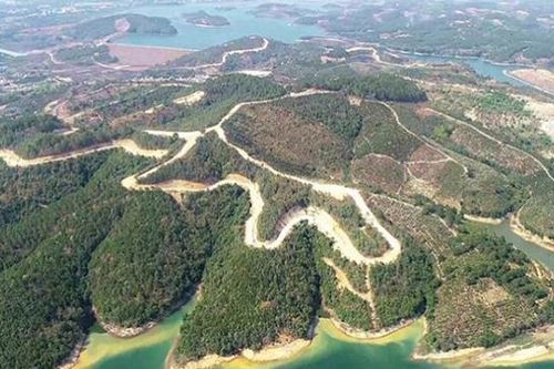 Dự án tỷ đô của công ty Sài Gòn - Đại Ninh làm biến mất 257ha rừng tại Lâm Đồng