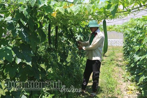 Ứng dụng khoa học - kỹ thuật vào sản xuất nông nghiệp