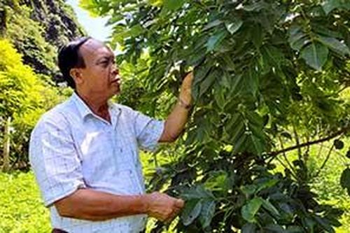 Hữu Lũng: Tuyển chọn, nhân giống, nâng cao giá trị kinh tế từ cây trám đenTin khácVững vàng trên trận tuyến chống 'giặc lửa'Thông tin về đầu mối liên lạc, ứng trực 24/24 giờ hỗ trợ công dân nước ngoài của Sở Ngoại vụ tỉnh Lạng Sơn