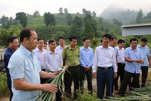 Mường Khương cần tiếp tục quan tâm đầu tư phát triển nông nghiệp bền vững
