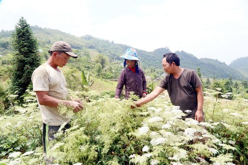 Bài 2 - Già làng Hà Nhì xóa hủ tục