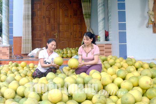 'Được dân tin là quý lắm!'